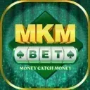 Slots Spin game